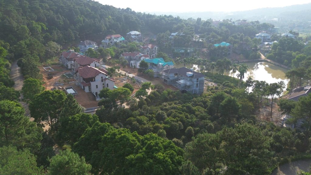 Những căn biệt thự nằm dưới triệu tán thông reo